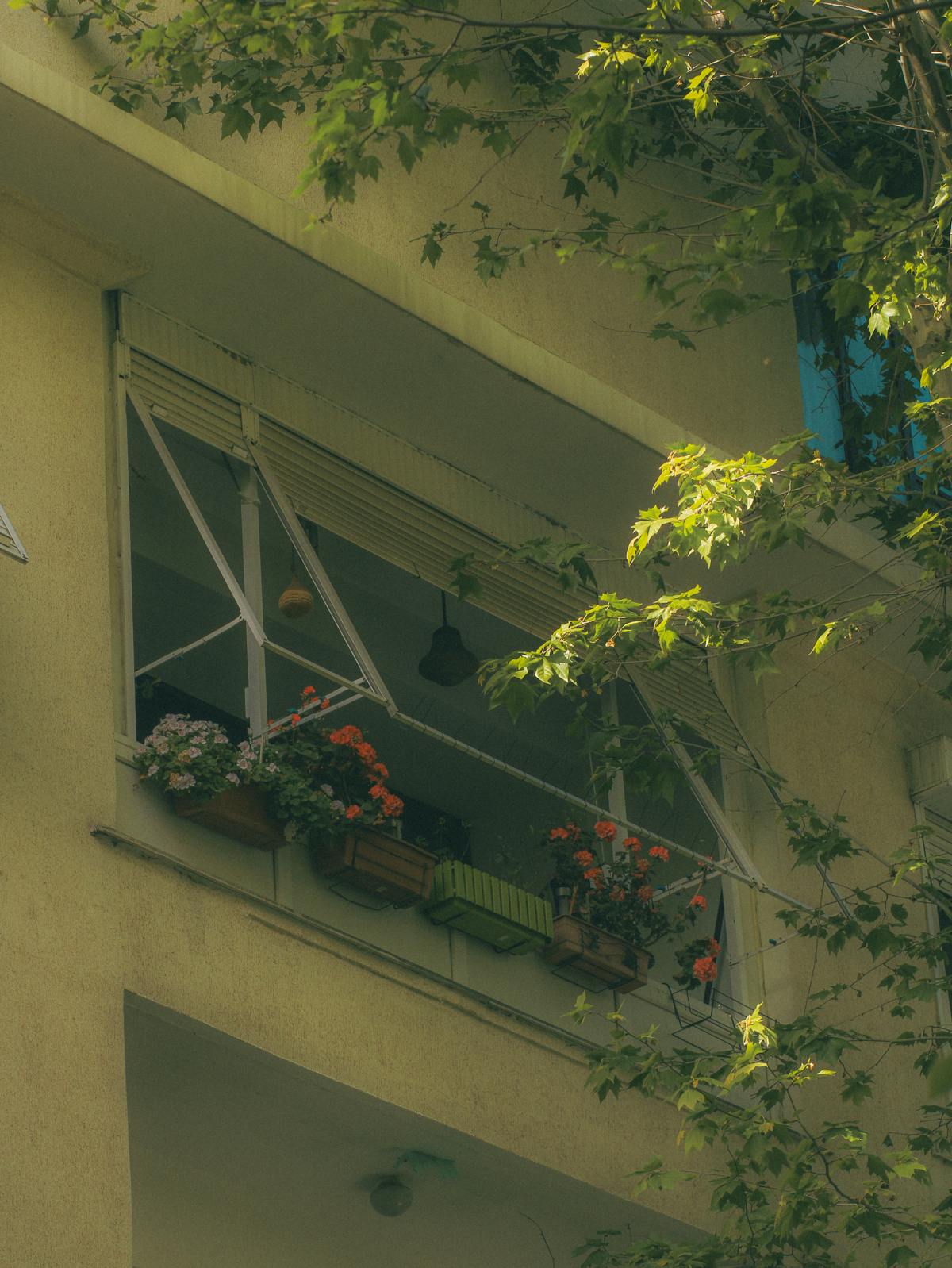 Balcon aménagé avec plantes et fleurs à Nice