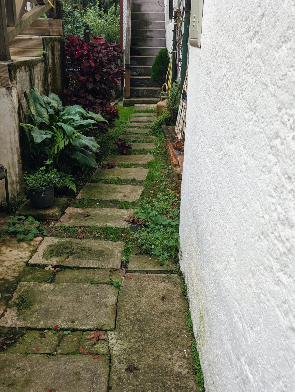 Allée en pierre dans un jardin à Nice